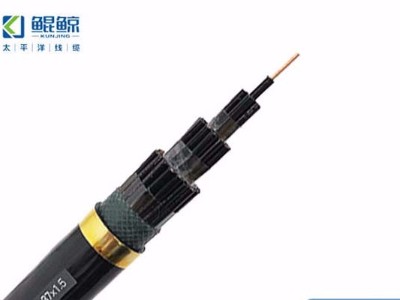 電線(xiàn)電纜廠(chǎng)家教你區分控制電纜、電力電纜及動(dòng)力電纜