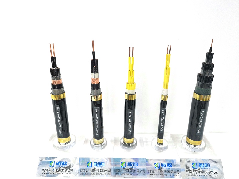 鄭州電纜廠(chǎng)淺談?dòng)嬎銠C電纜與控制電纜有什么不同？