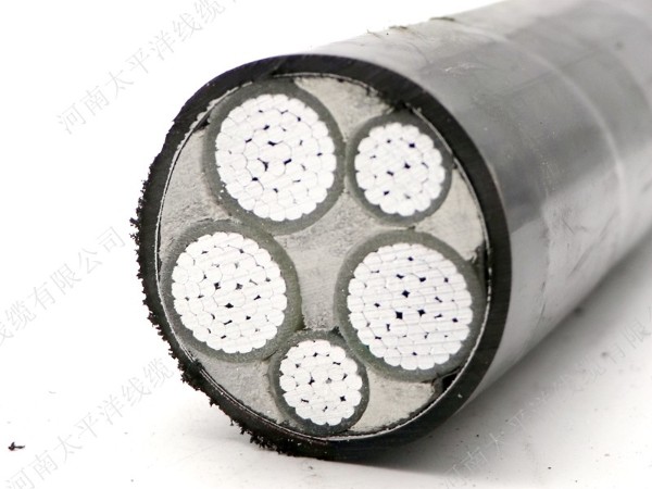 通常用的電力電纜中，鎧裝電纜價(jià)格要比普通電纜的貴一點(diǎn)，不僅如此，控制電纜和其他類(lèi)型的電纜中，鎧裝電纜價(jià)格都會(huì )比普通電纜的貴，那么憑什么呢？
