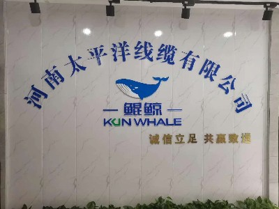 牛商爭霸中段總結，河南太平洋線(xiàn)纜賦能發(fā)展