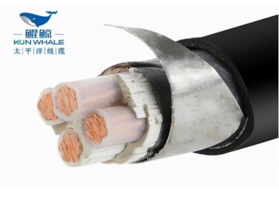 鎧裝電纜廠(chǎng)家介紹鎧裝電纜型號規格