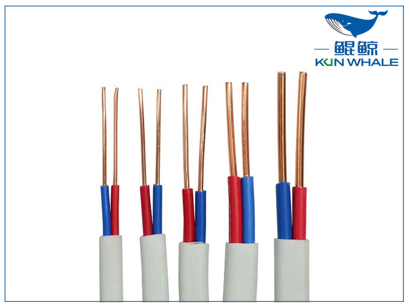太平洋線(xiàn)纜帶你了解什么是bvvb電線(xiàn)？